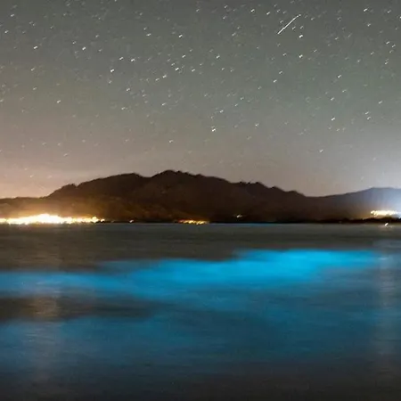 度假居 Vivienda Ideal Brion, Proximo A Santiago De Compostela 奥比昂